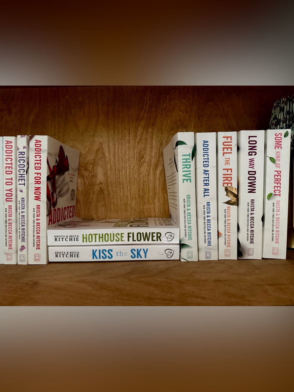 Addicted series by Krista and Becca Ritchie